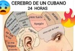 el-cerebro-de-un-a-cubano-a-v0-ulg4wnnabzz91.jpg
