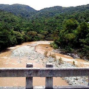5 - Der Rio Toa hinter Palenque