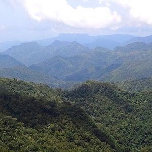 7 - Bergpanorama (der "El Yunque" zeichnet sich erstmals in der Ferne ab)