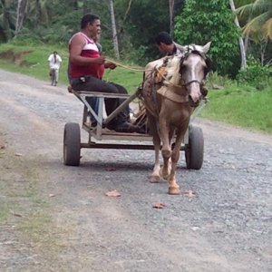 12 - Örtliches Fortbewegungsmittel in der Nähe von Baracoa