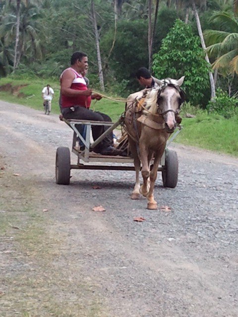 12 - Örtliches Fortbewegungsmittel in der Nähe von Baracoa