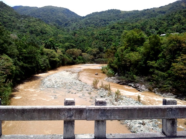 5 - Der Rio Toa hinter Palenque