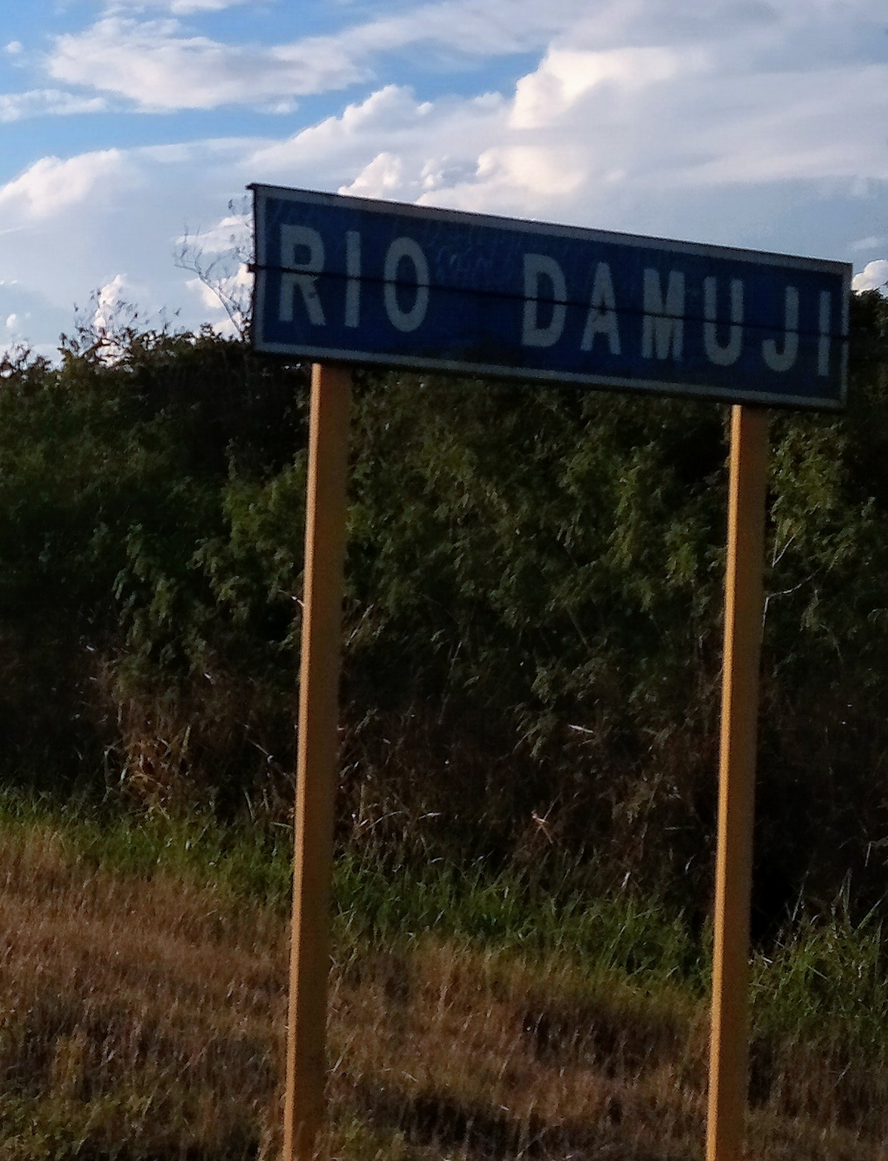 Rio Damuji, CF